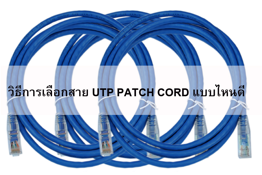 วิธีการเลือกสาย UTP PATCH CORD แบบไหนดี